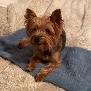 Meet your Posher, Colby